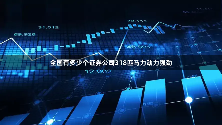 全国有多少个证券公司318匹马力动力强劲