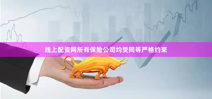 线上配资网所有保险公司均受同等严格约束